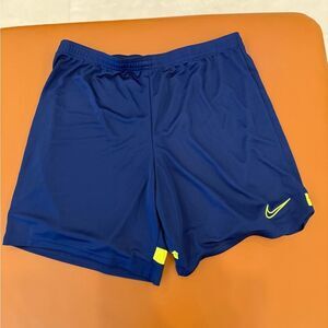 Nike Dri-Fit Blue Athletic Shorts